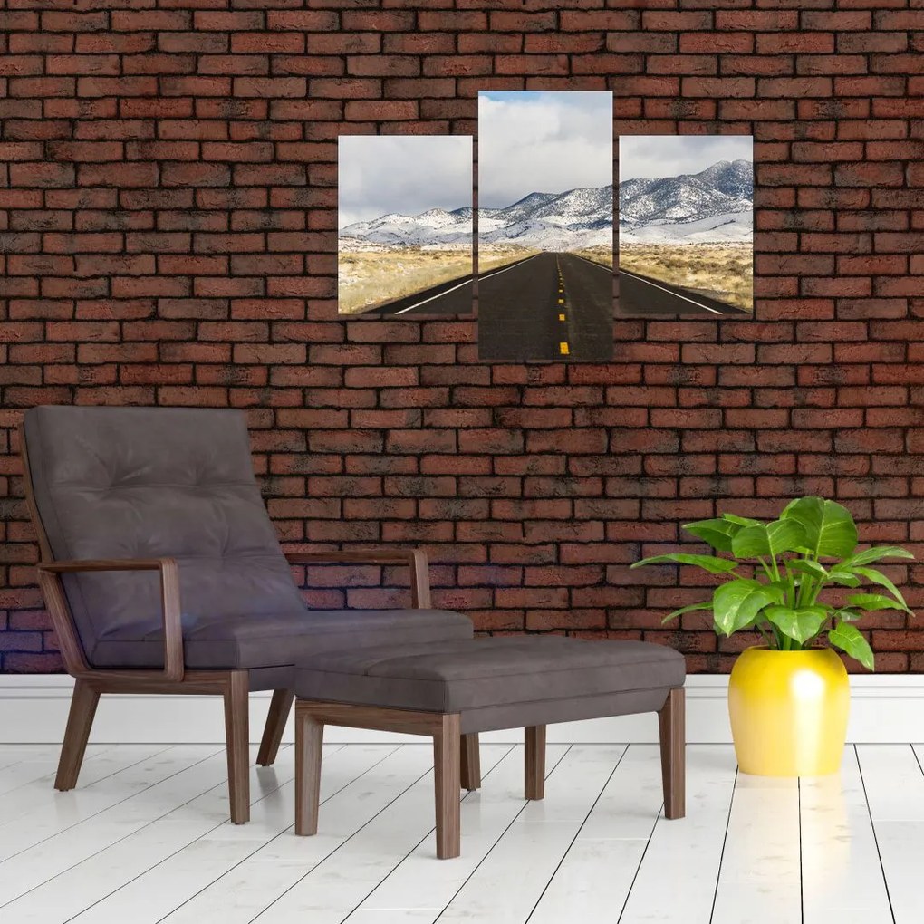 Tablou - Great Basin, Nevada, USA (90x60 cm)