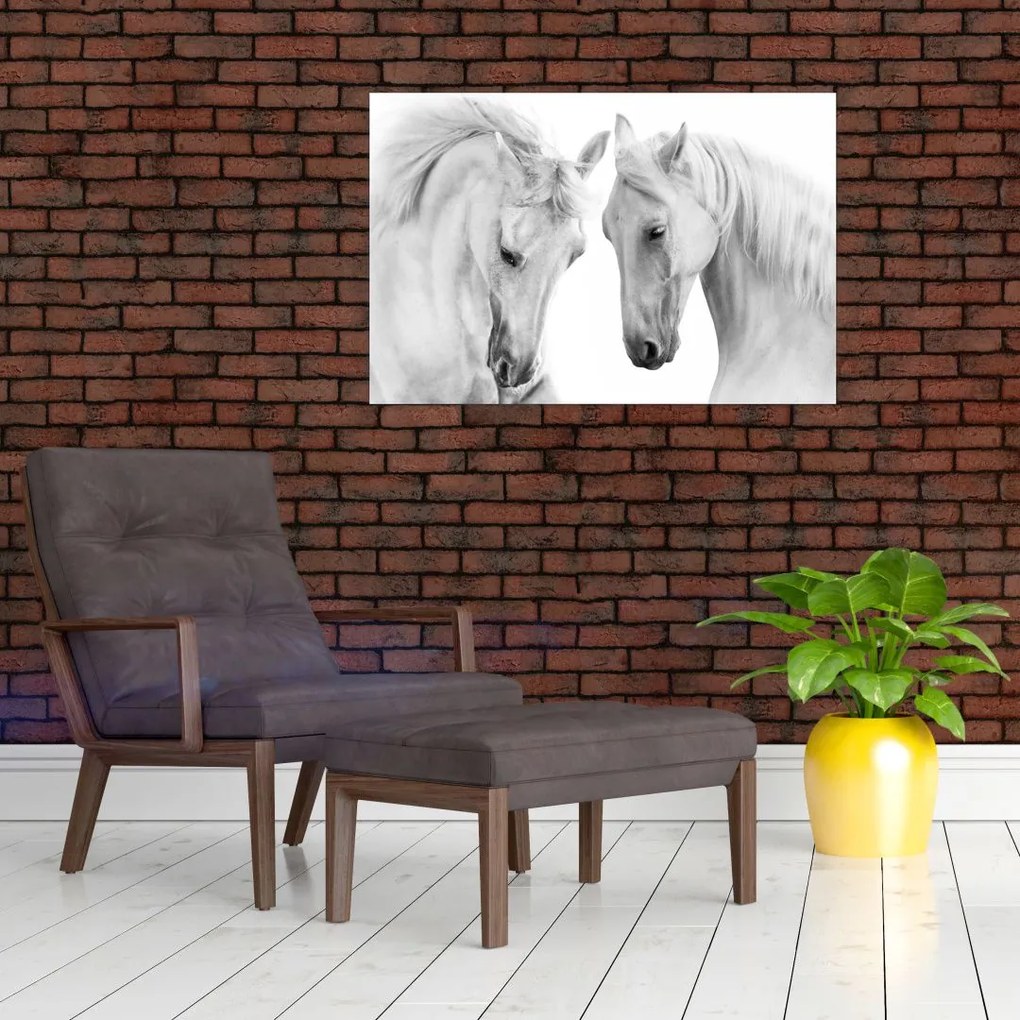 Tabou - Cai albi (90x60 cm)