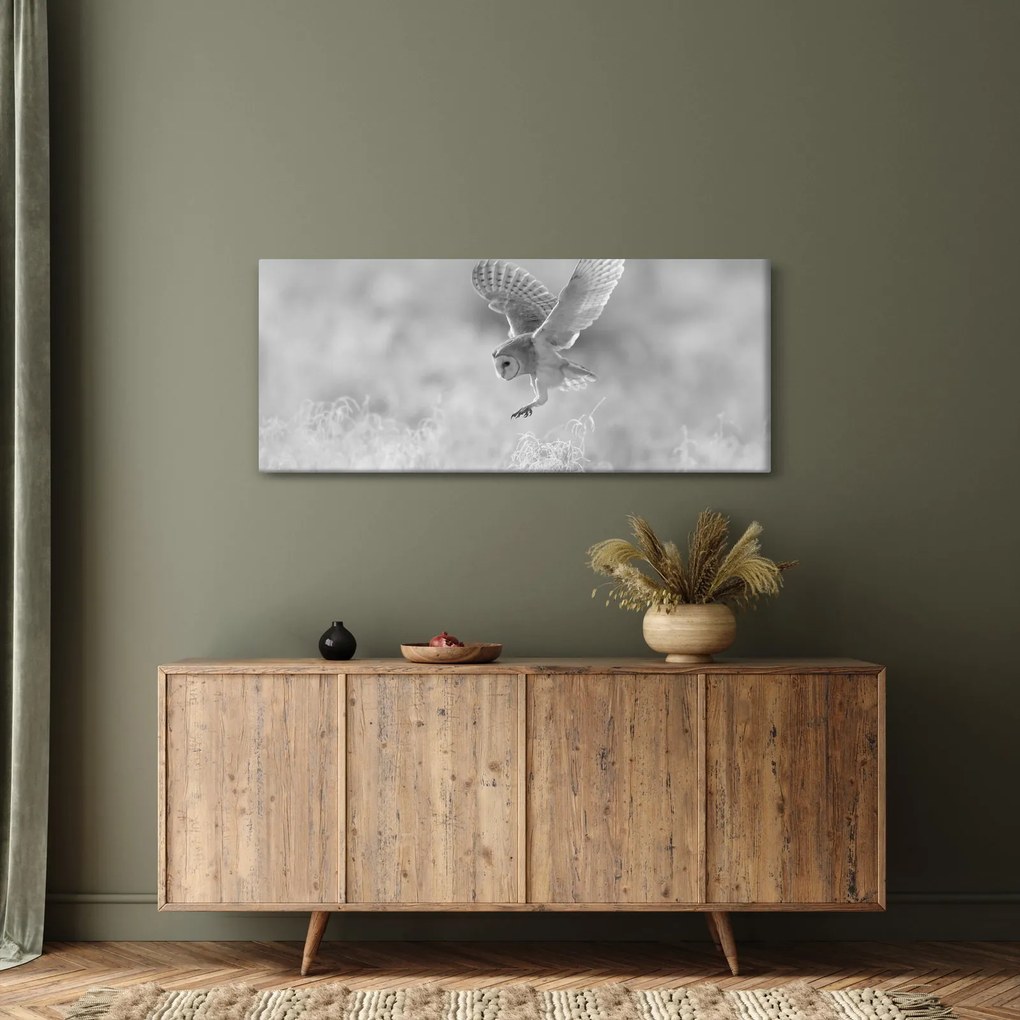 Tablou - Bufniță,alb-negru (120x50 cm)