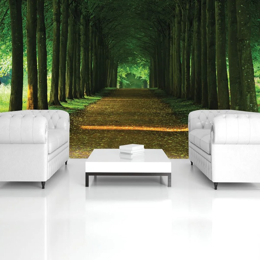 Fototapet - Alee (152,5x104 cm)