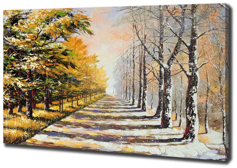 Print pe canvas Toamna iarna vs.