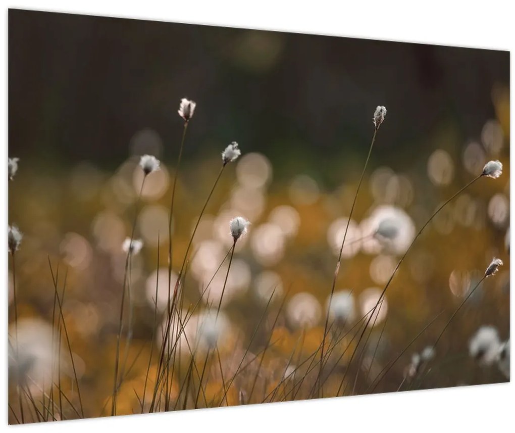 Tablou - Pajiște cu iarbă de cozonac N⁰2 (90x60 cm)