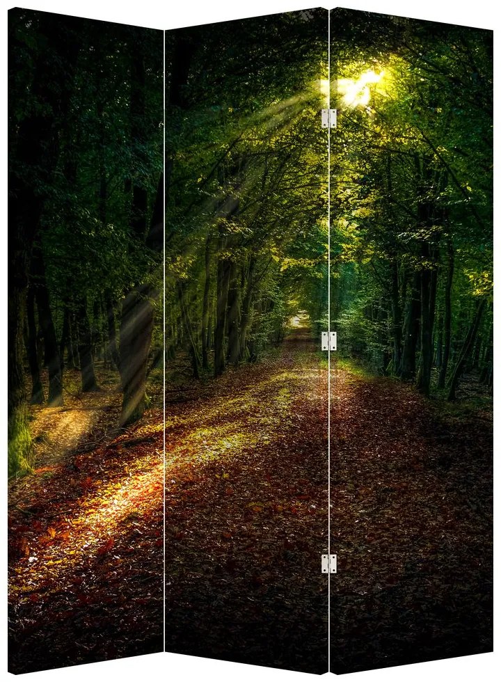 Paravan - Poteca prin pădure (126x170 cm)