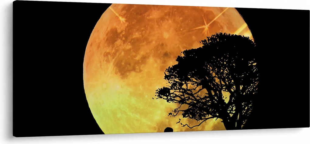 Tablou cu umbre în lumina lunii (120x50 cm)