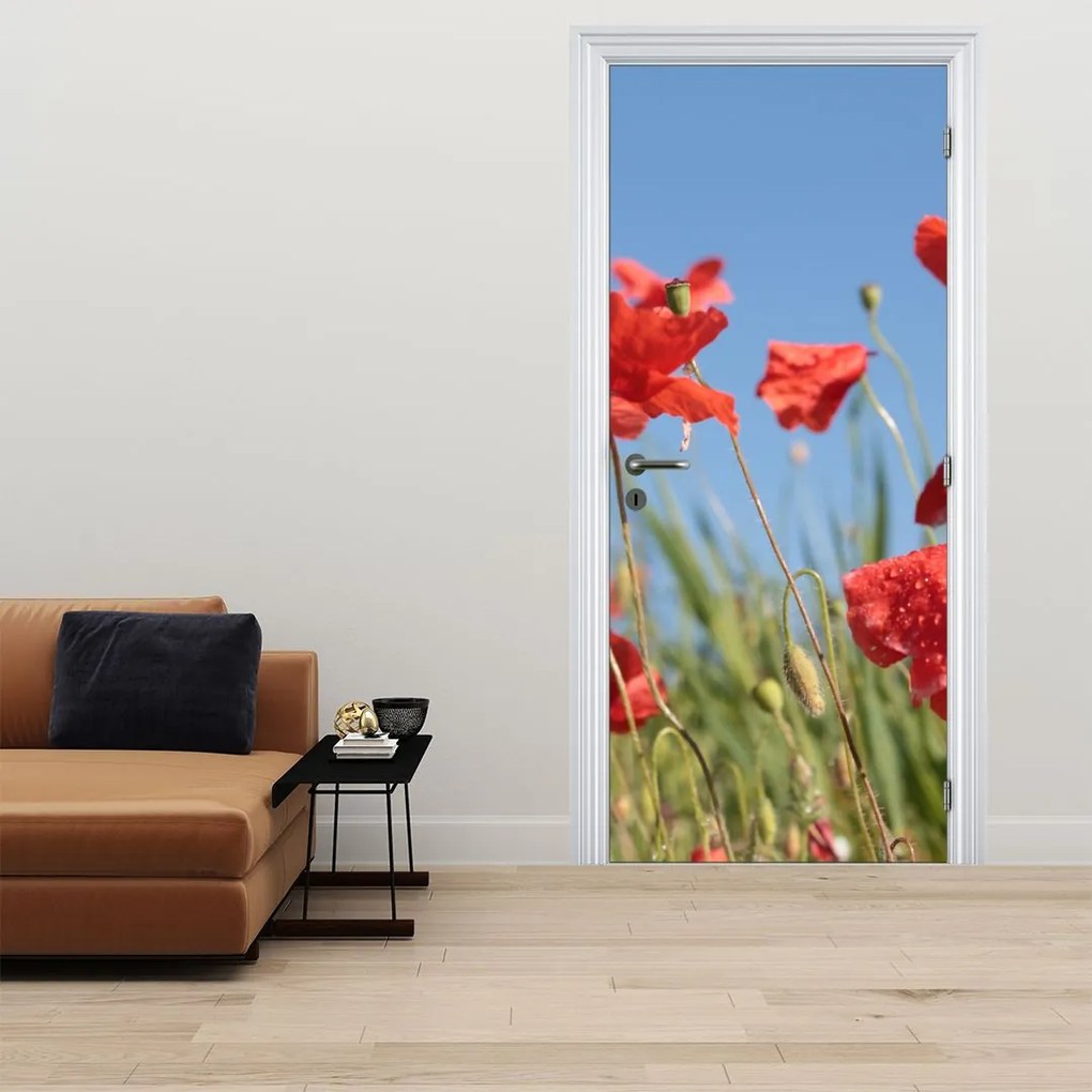 Fototapet pentru ușă - Maci (95x205cm)