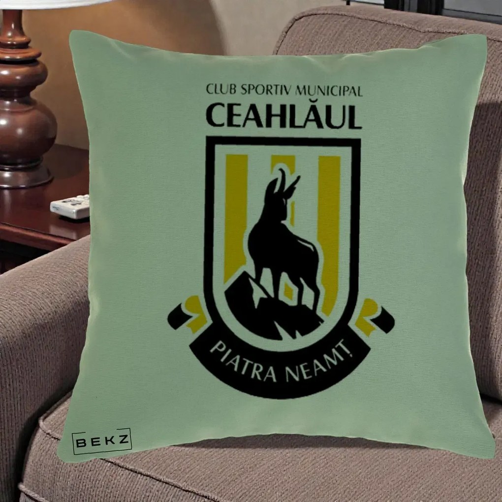 Perna Personalizata CSM Ceahlaul Piatra Neamt Fotbal, 40x40 cm, Verde, Husa Detasabila, Perna Inclusa, BEKZ®