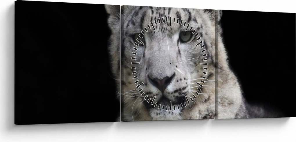 Tablou - Snow Leopard (cu ceas) (90x30 cm)