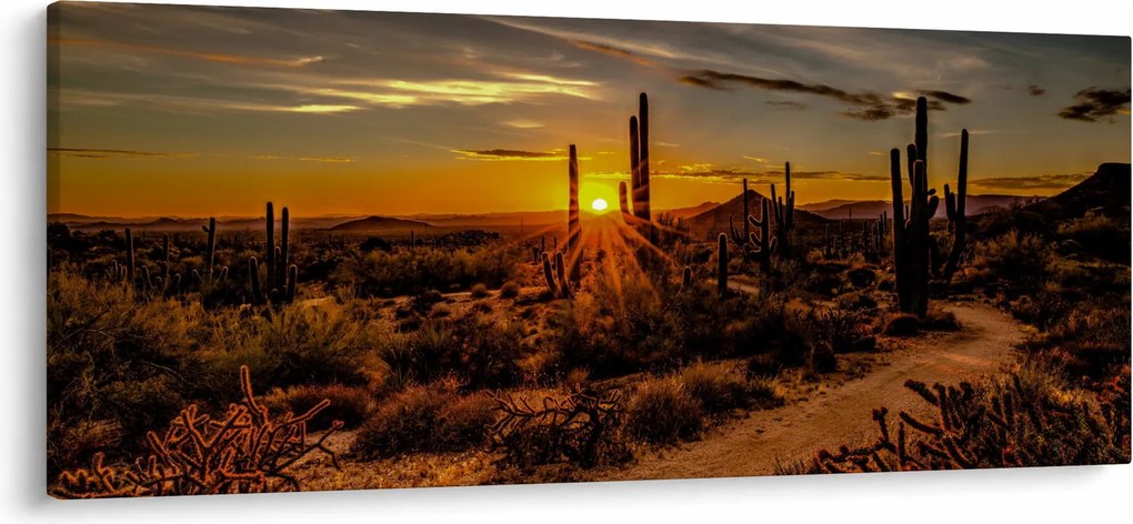 Tablou - Sfărșit de zi în deșertul Arizona (120x50 cm)