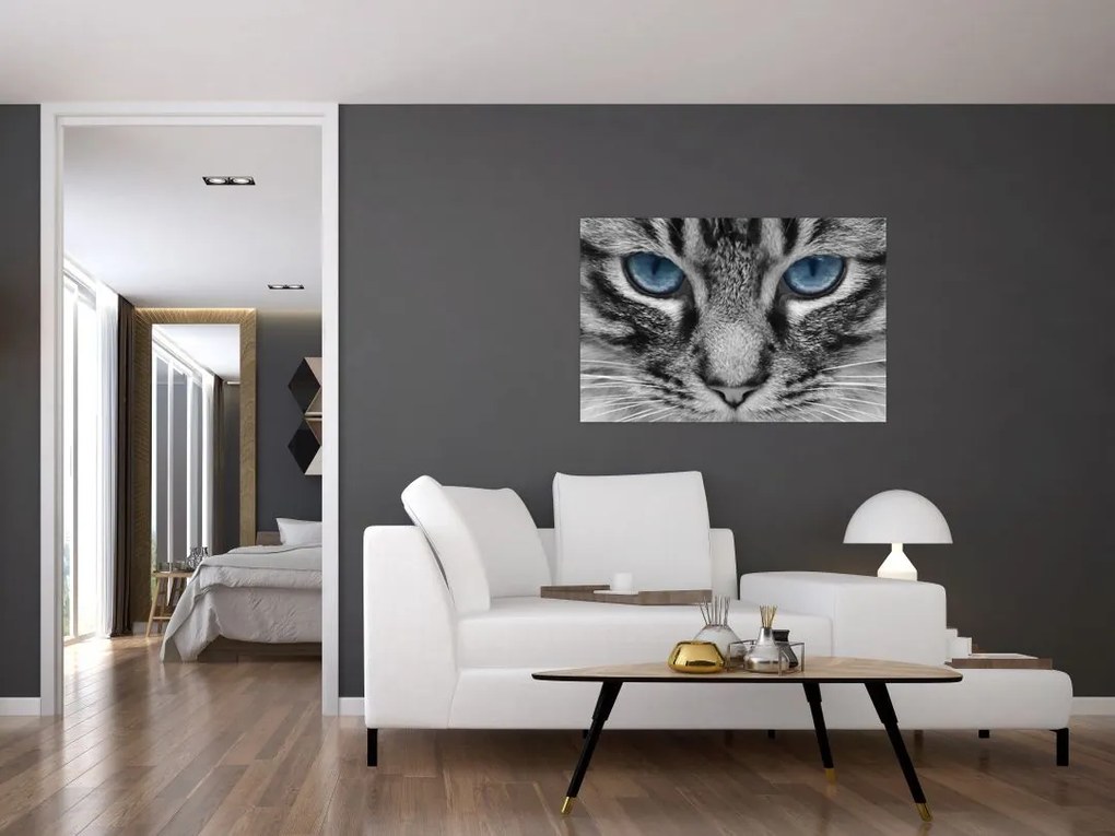 Tablou cu pisica (90x60 cm)