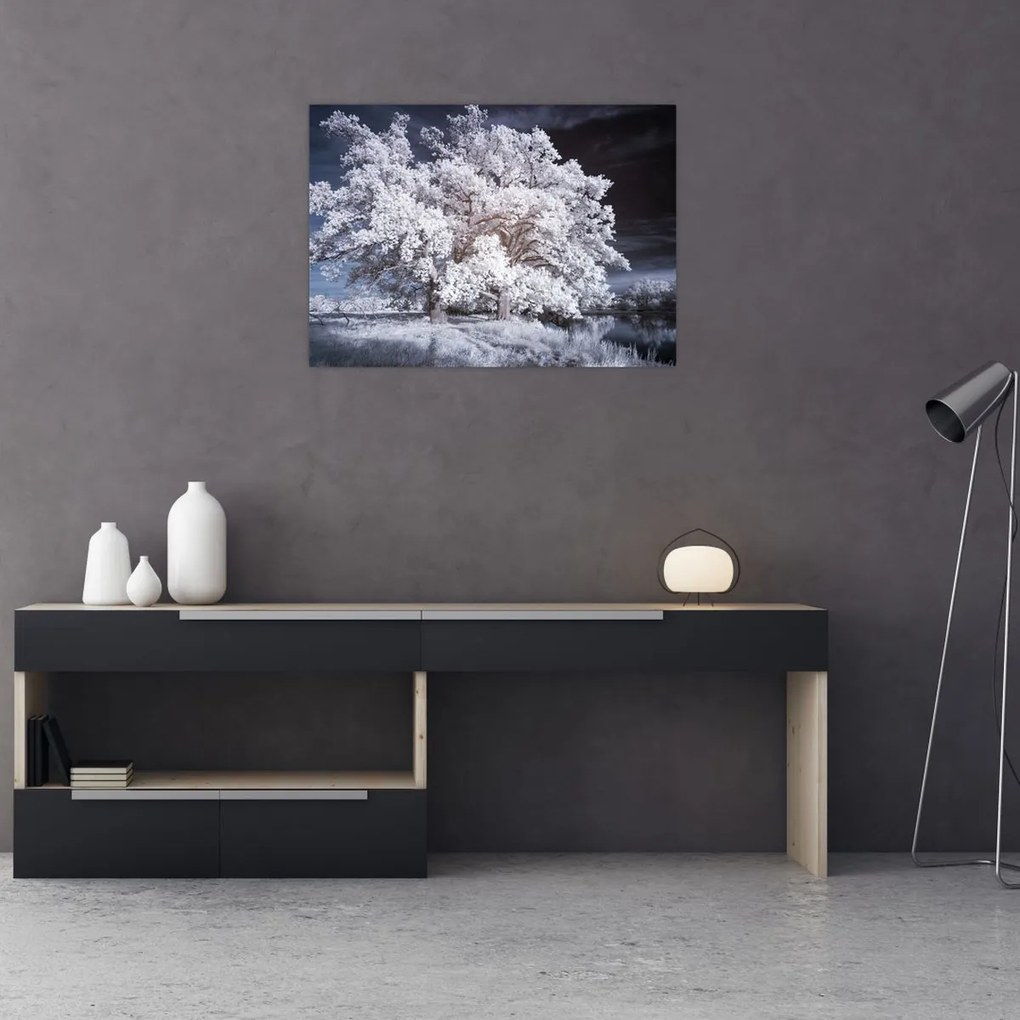 Tablou - Albă ca Zăpada Copac (70x50 cm)