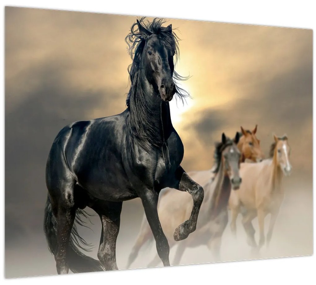 Tablou - Cai (70x50 cm)