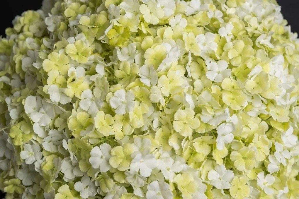 Aranjament floral elegant in forma de sfera, SPHERE SNOWBALL 30cm