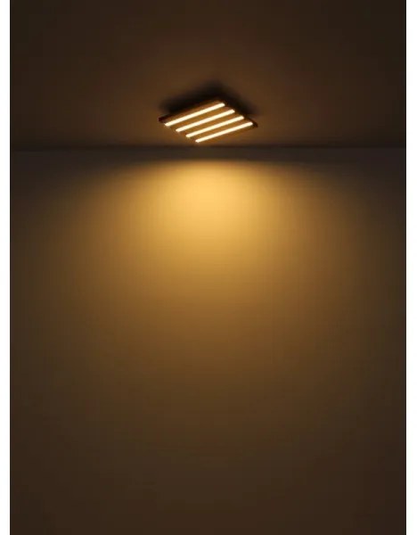 Globo 67347D2 - Plafonieră LED HAYDEN LED/30W/230V 3000K 45x45 cm