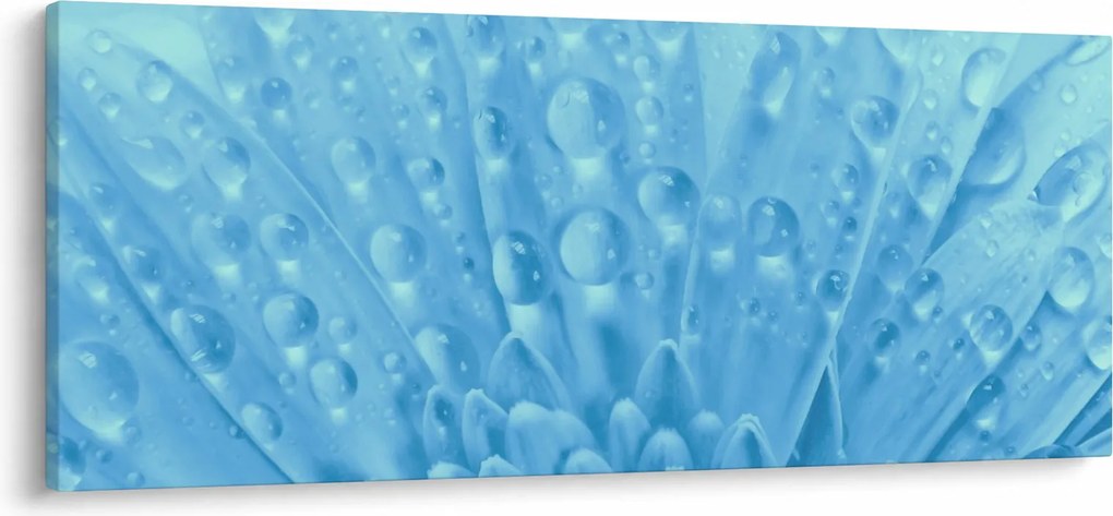 Tablou - Macro împușcat de o floare (120x50 cm)