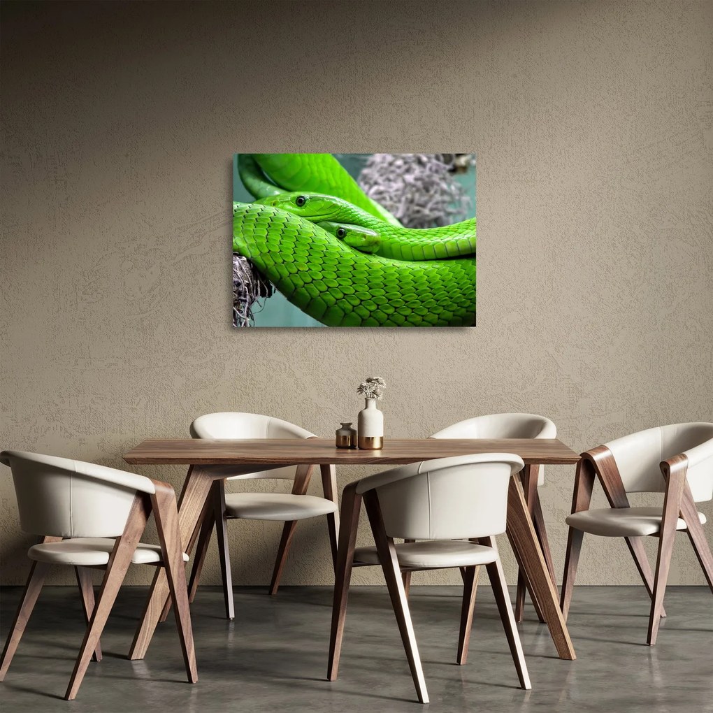 Tablou pe sticlă cu șerpi verzi (70x50 cm)