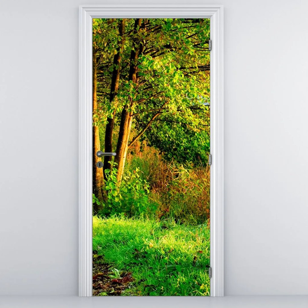 Fototapet pentru ușă - Cărarea de-a lungul apei (95x205cm)