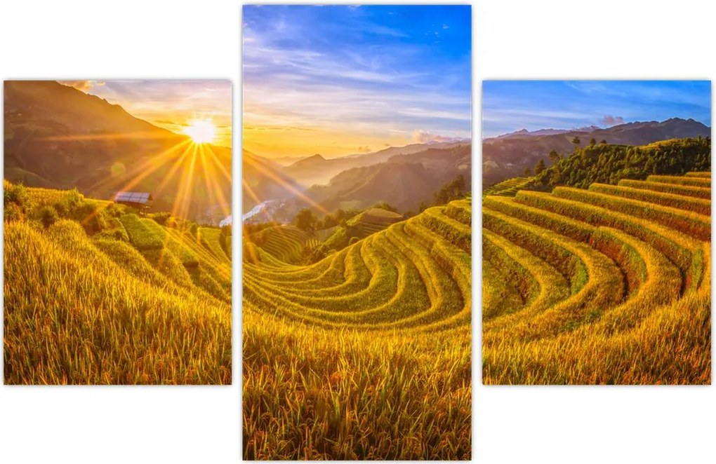 Tablou - Terasele de orez din Vietnam (90x60 cm)