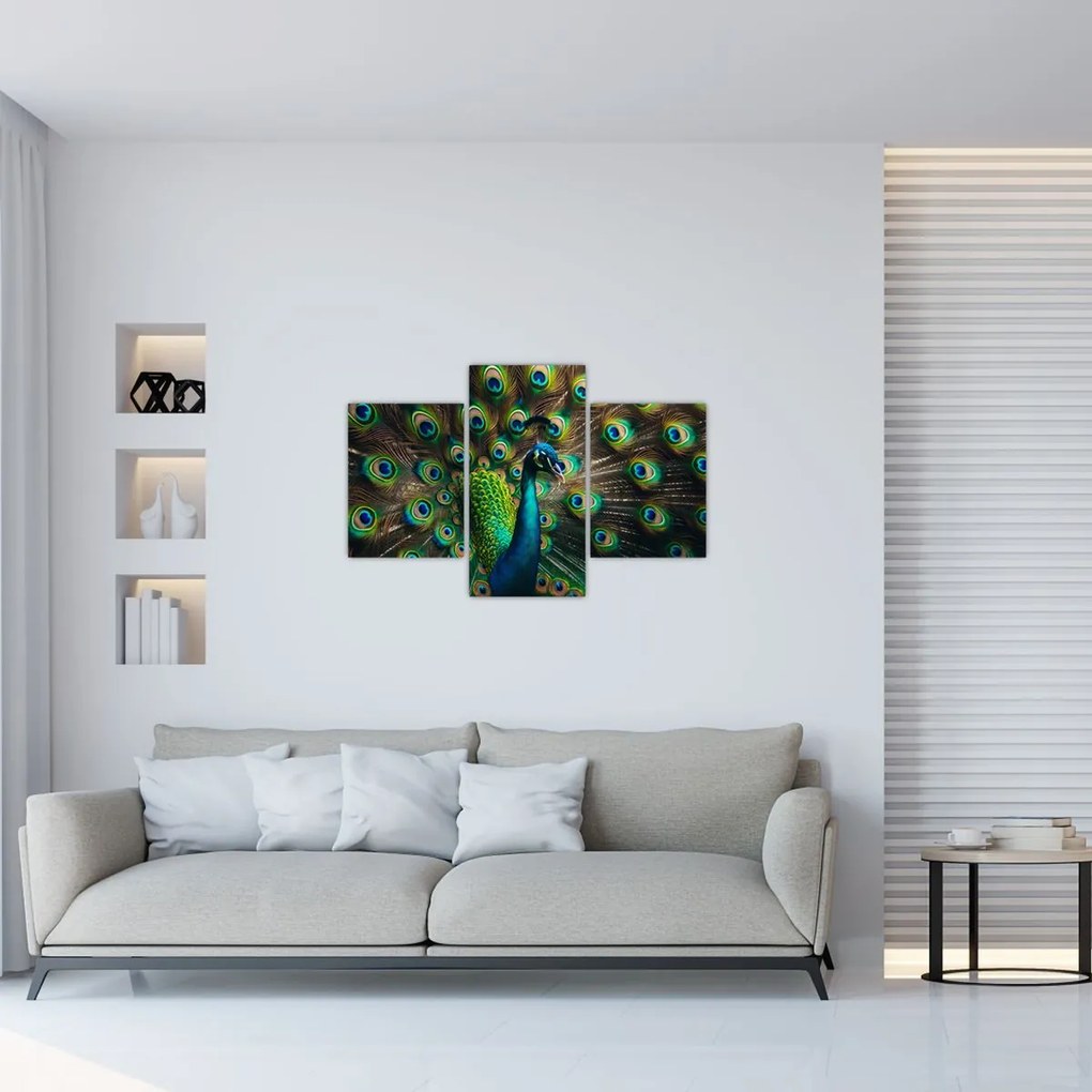 Tablou – Păun (90x60 cm)