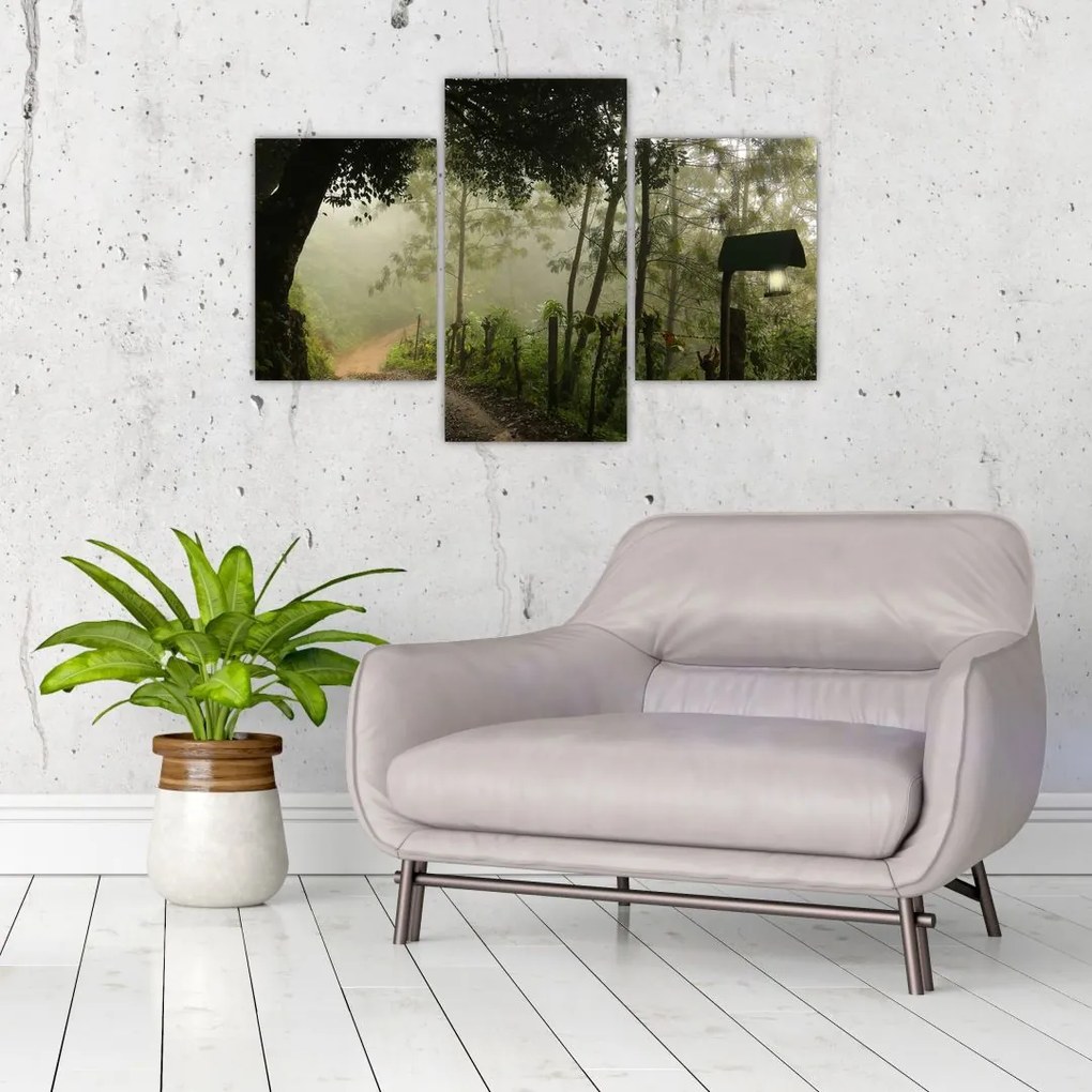 Tablou cu ceața de dimineața (90x60 cm)