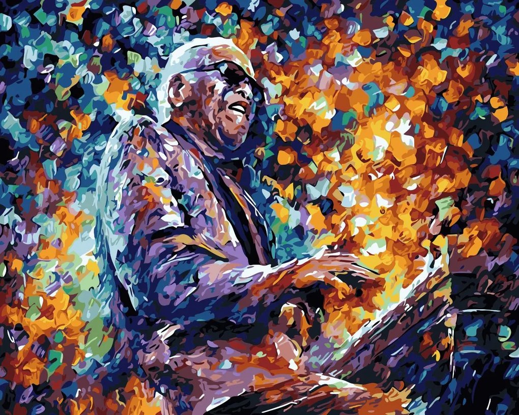 Pictura pe numere cu un cadru "stevie wonder" 50x40 cm