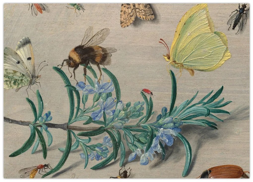 Tablou pe sticlă - Jan van Kessel the Elder, Insects and a Sprig of Rosemary, reproducere (70x50 cm)
