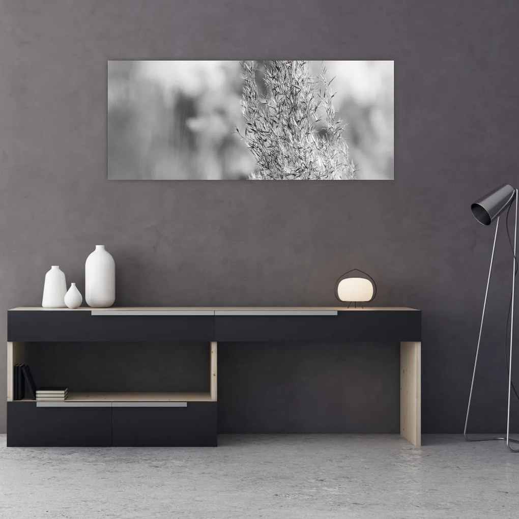 Tablou - Iarbă de pampas Boho (120x50 cm)