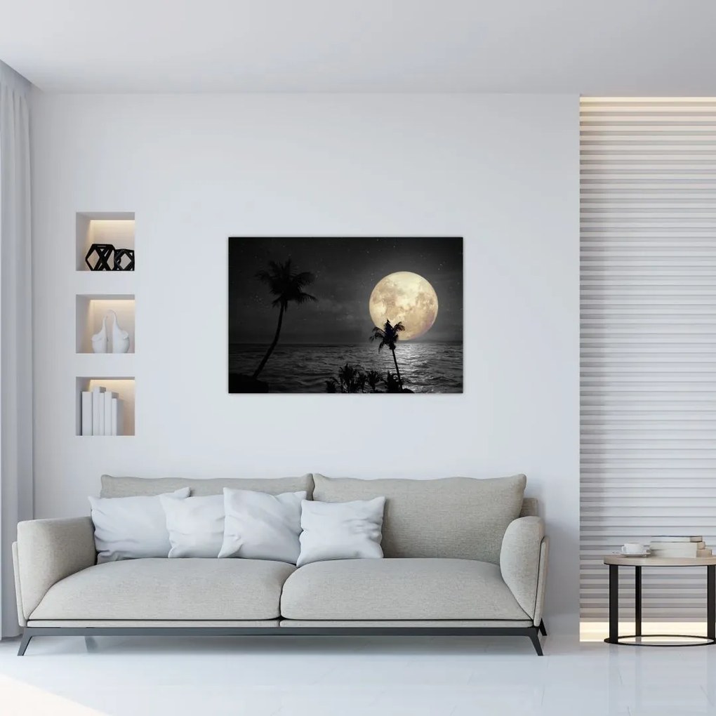 Tablou - Plaja cu lună plină, nuanțe gri (90x60 cm)
