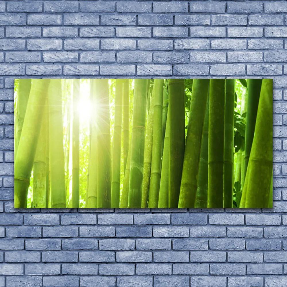 Tablouri acrilice Bamboo Floral Verde