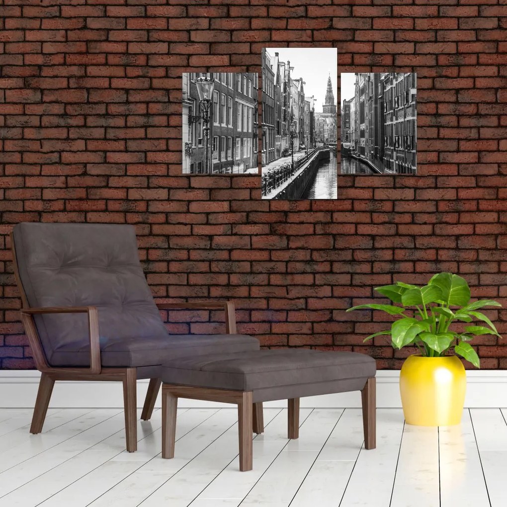 Tablou - Olanda (90x60 cm)