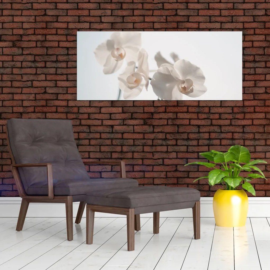 Tablou cu orhidee albă (120x50 cm)