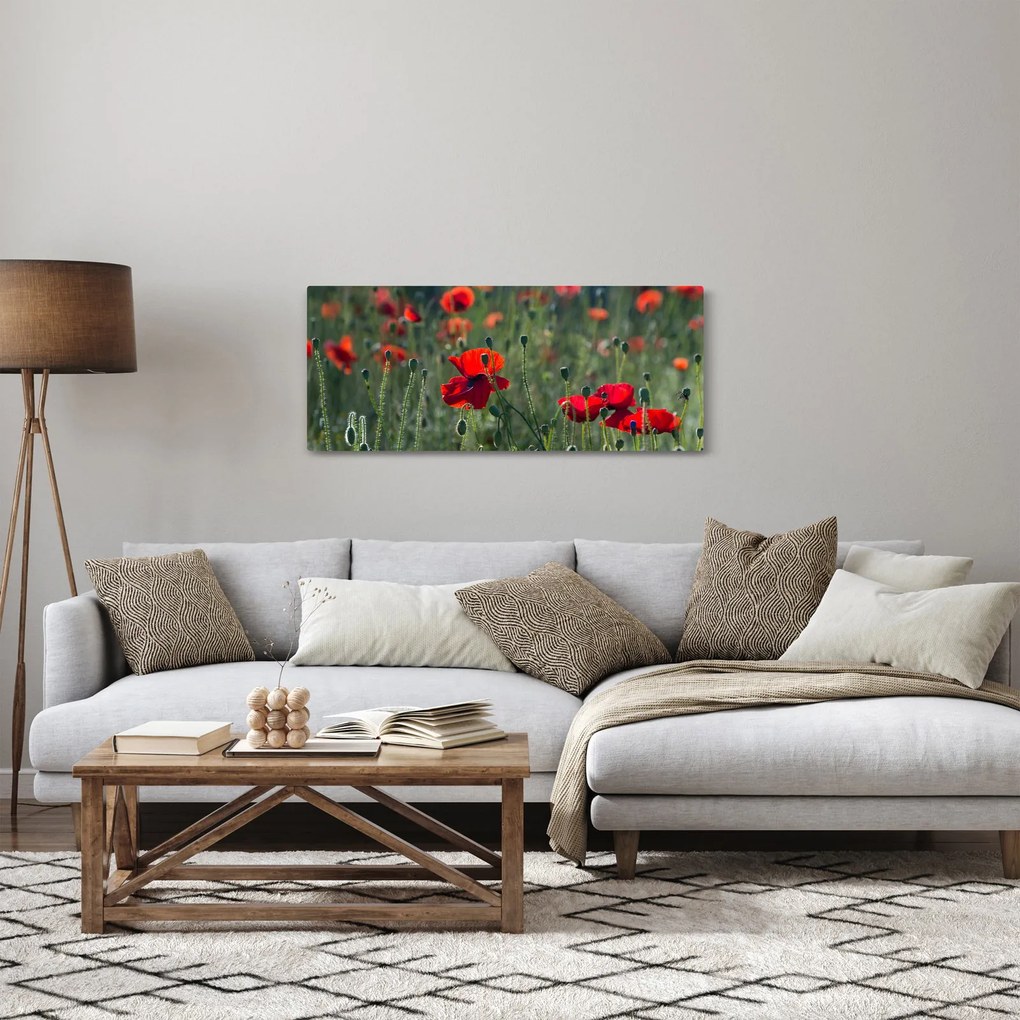 Tablou - Lunca cu maci (120x50 cm)