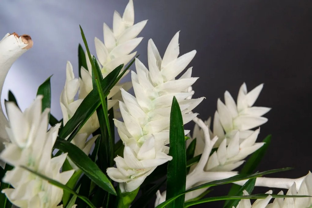 Aranjament floral mediu design LUX SHIP BROMELIA