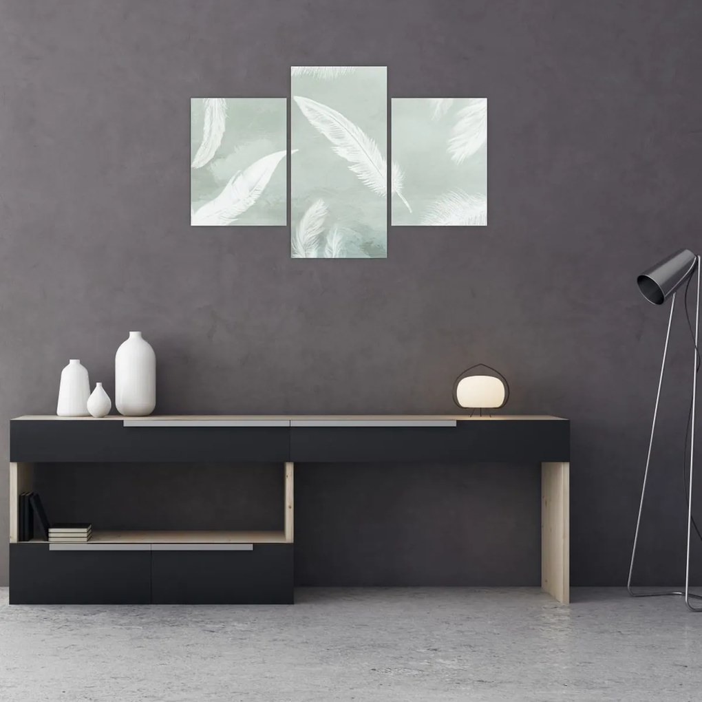 Tablou - Pene albe (90x60 cm)