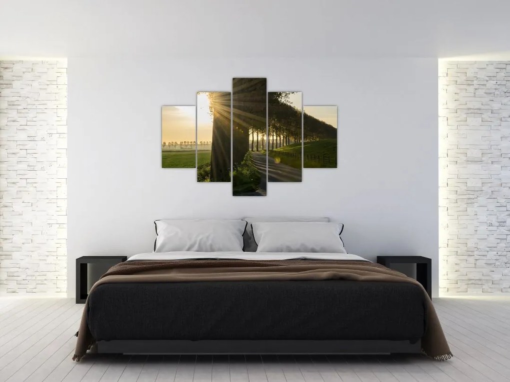 Tablou cu alee (150x105 cm)