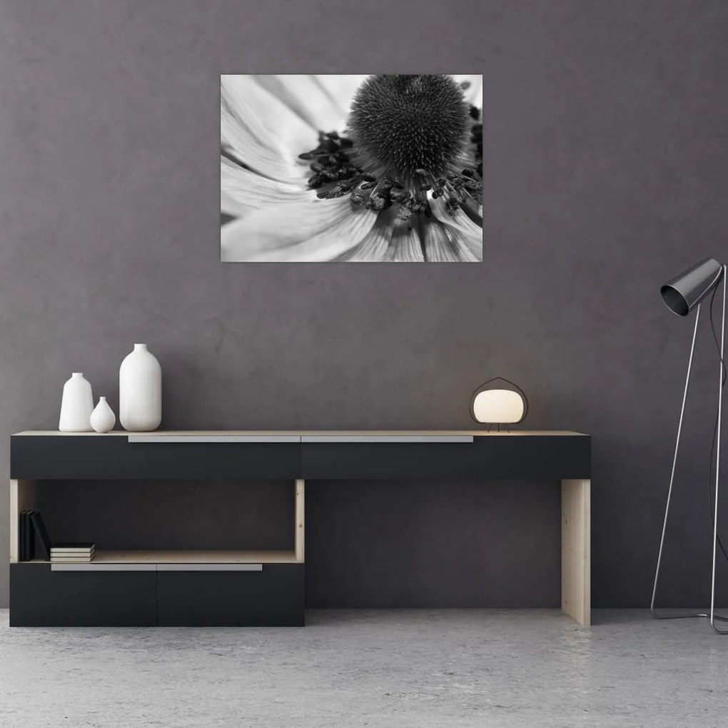 Tablou pe sticlă - Floare în alb-negru (70x50 cm)