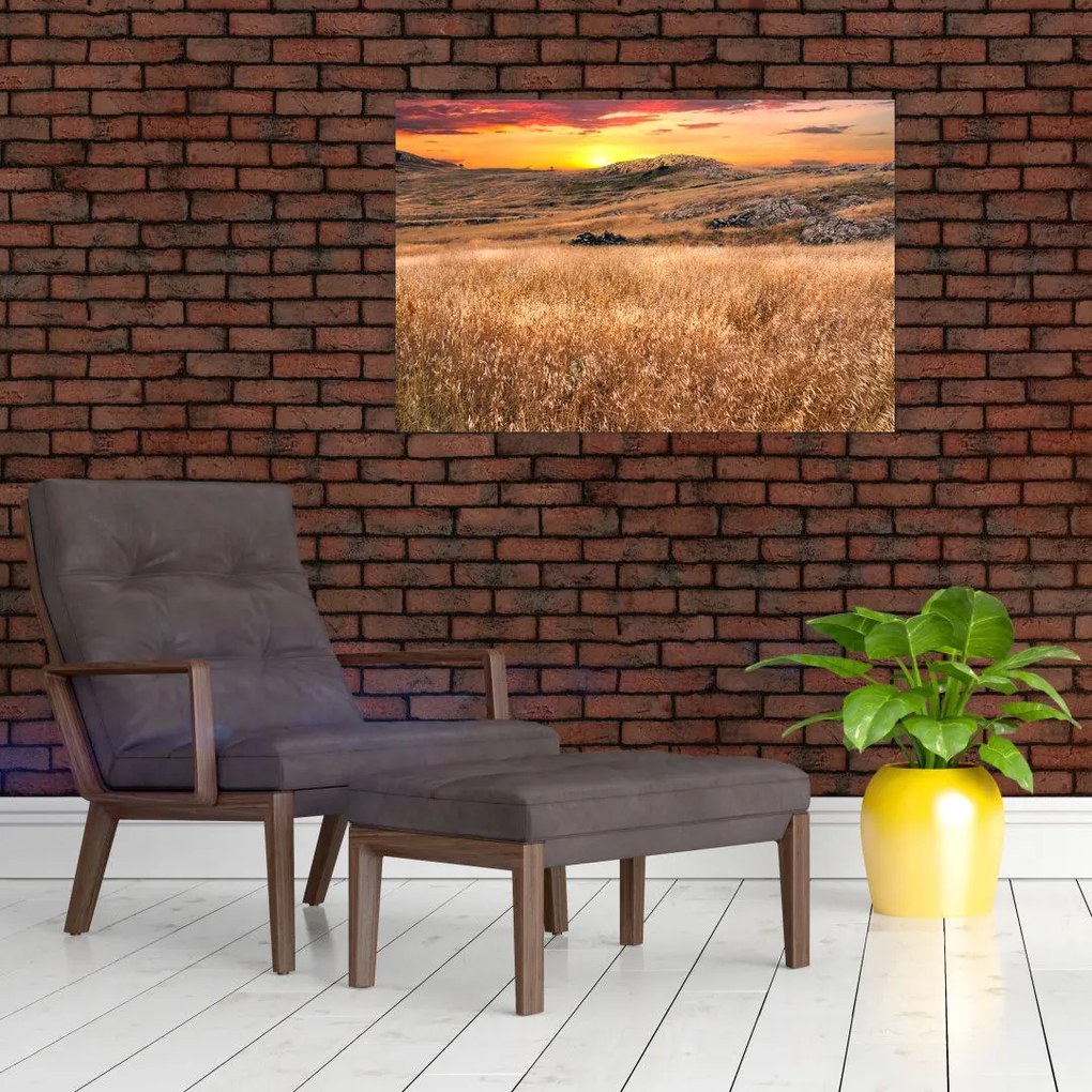 Tablou cu câmp (90x60 cm)