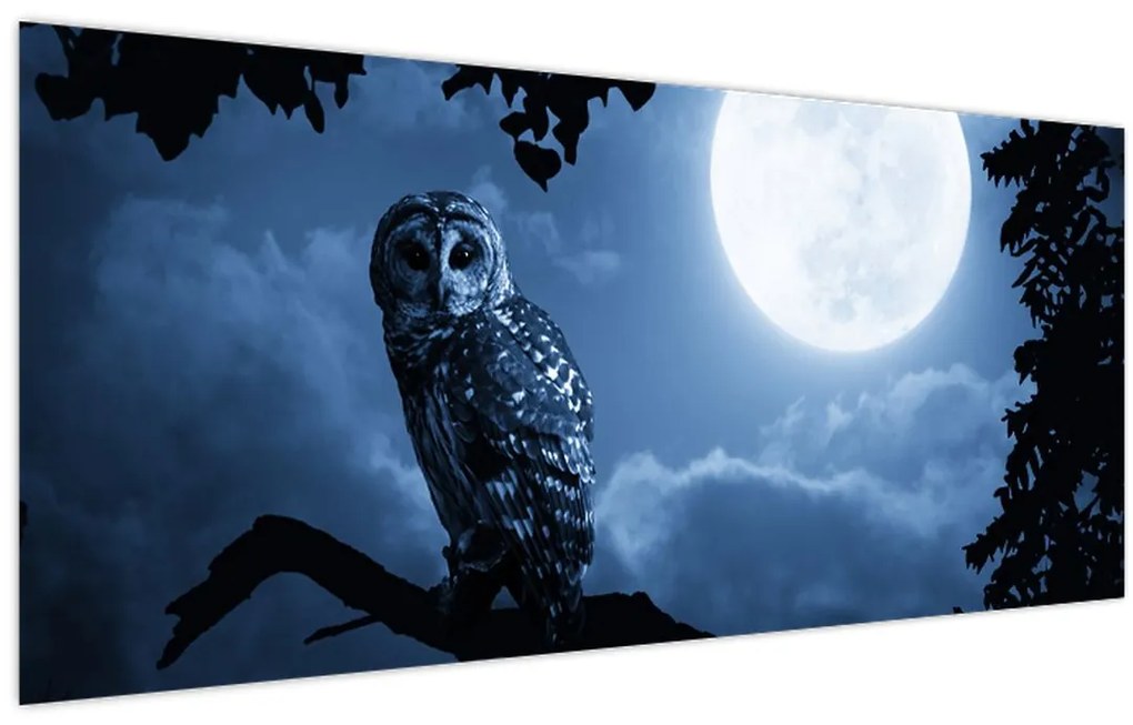 Tablou - Bufnița de noapte (120x50 cm)
