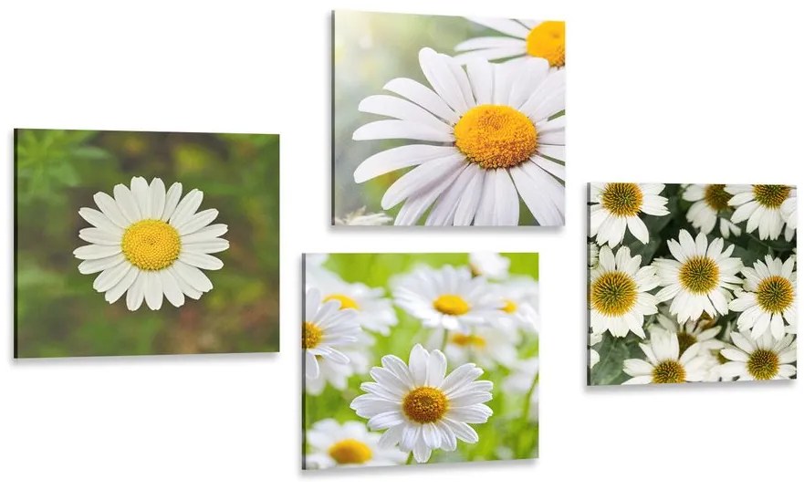 Set tablouri flori magice