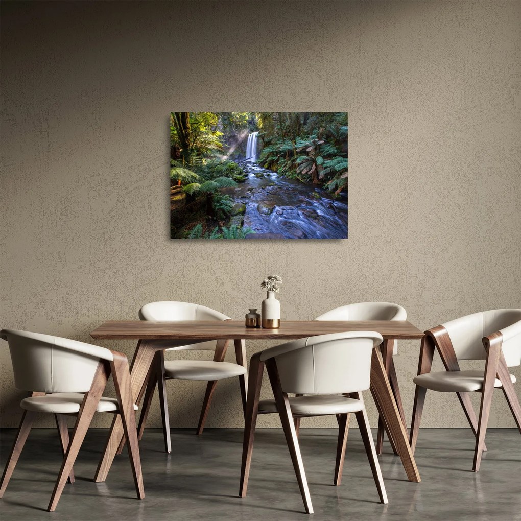Tablou pe sticlă cu pădurea ploilor din Austalia (70x50 cm)