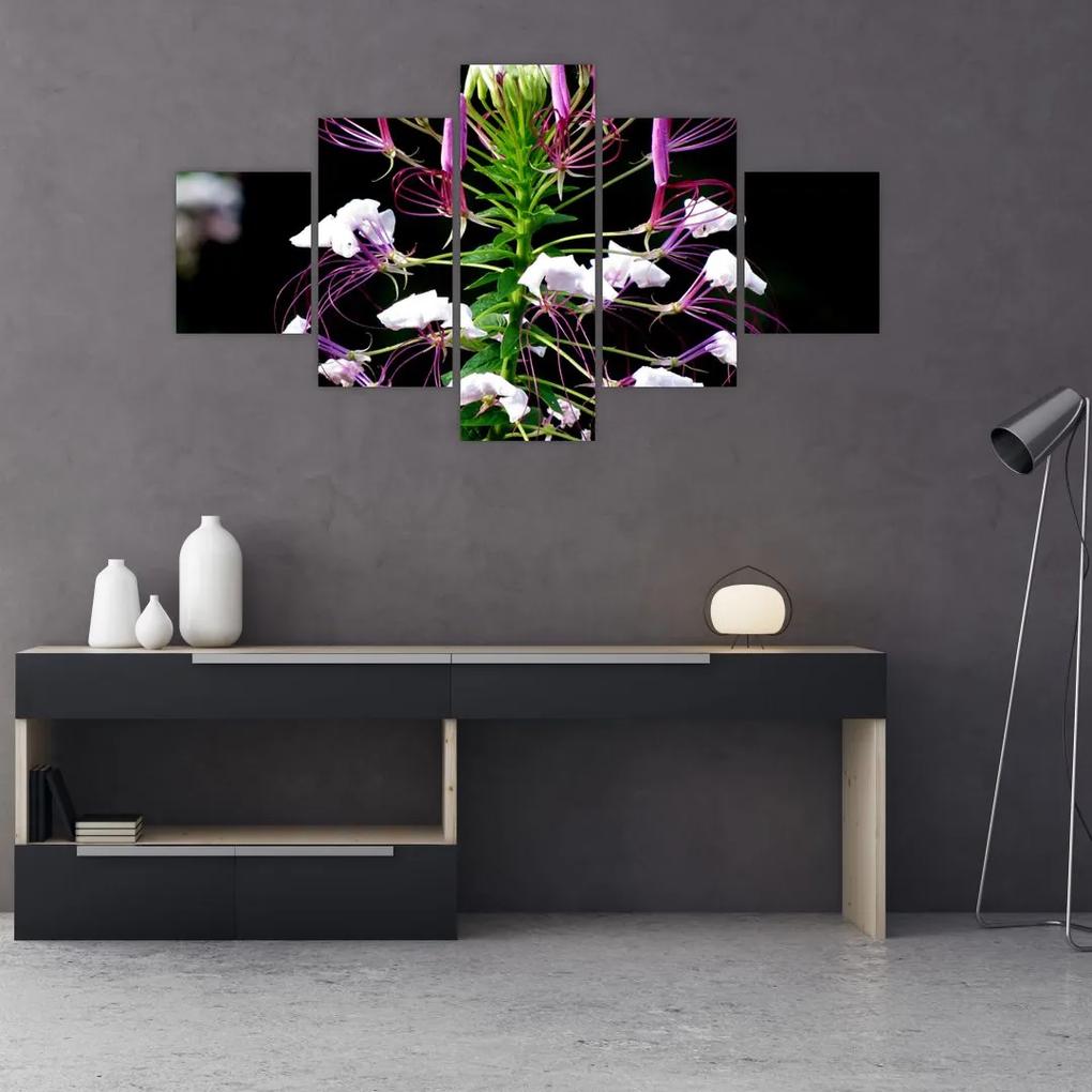Tablou cu floare (125x70 cm), în 40 de alte dimensiuni noi