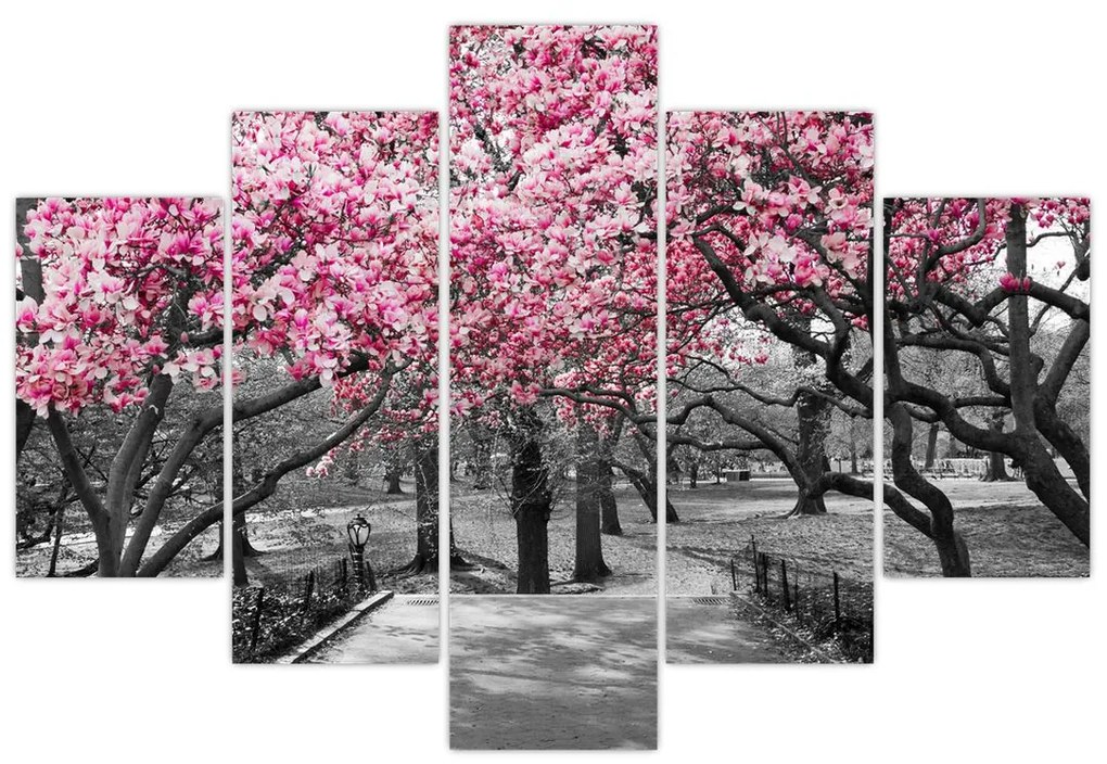Tablou copacului magnolie (150x105 cm)
