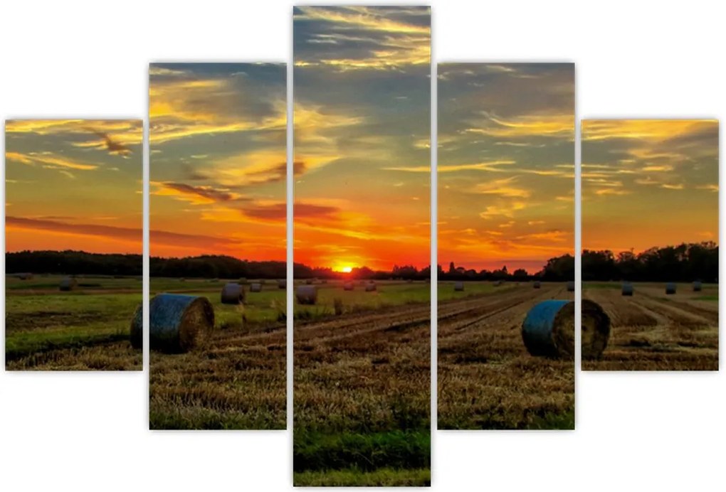 Tablou - Baloți din sat (150x105 cm)