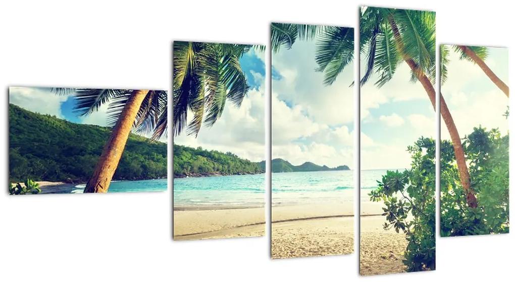 Tablou modern - palmieri pe plajă (110x60cm)