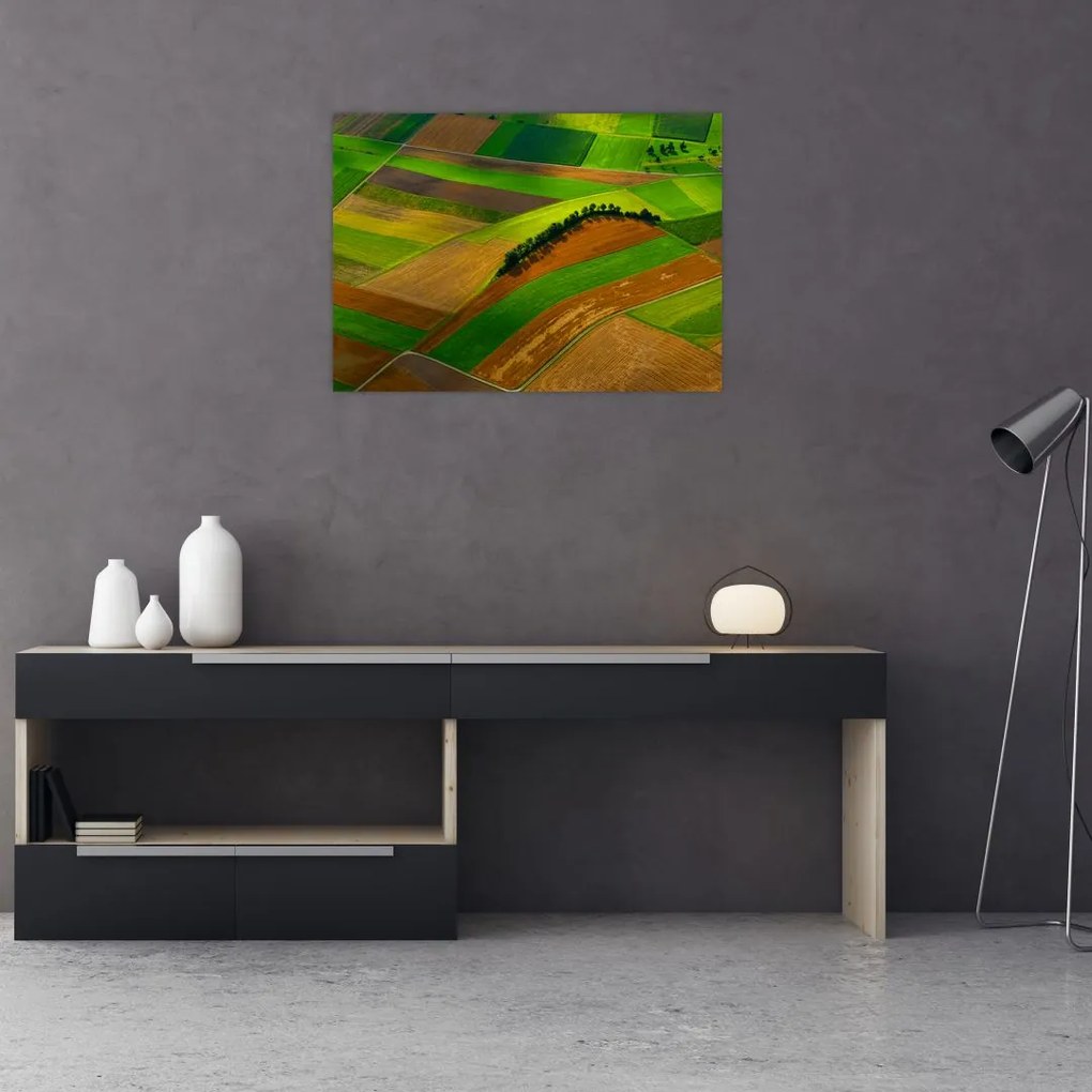 Tablou - Lan, luncile (70x50 cm)