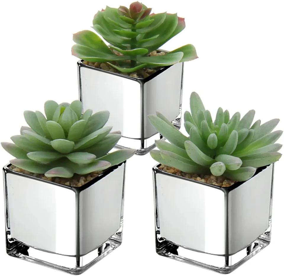 Set de 3 plante artificiale Briful, plastic, 6,4 x 10,2 cm