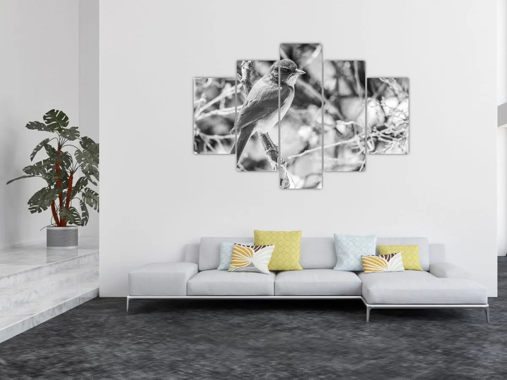 Tablou - Bluebird în timpul iernii (150x105 cm)