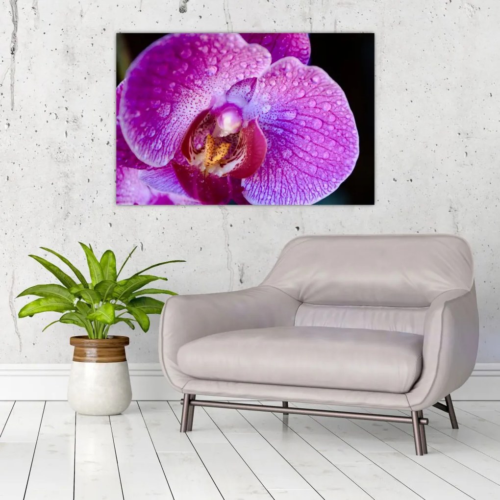 Tablou detailat cu floare de orhidee (90x60 cm)