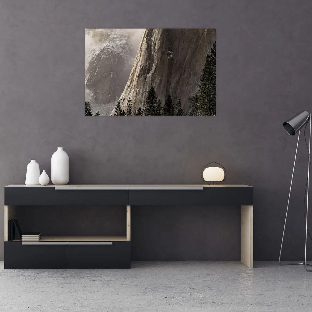 Tablou din valea Yosemite parcul național, SUA (90x60 cm)