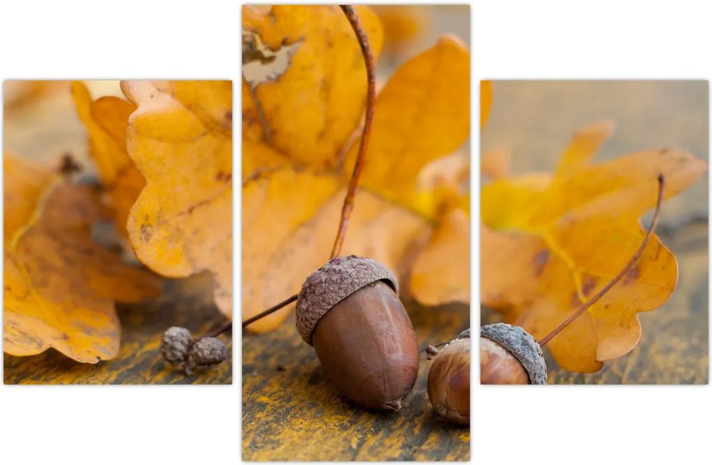 Tablou - Ghinde de toamnă (90x60 cm)