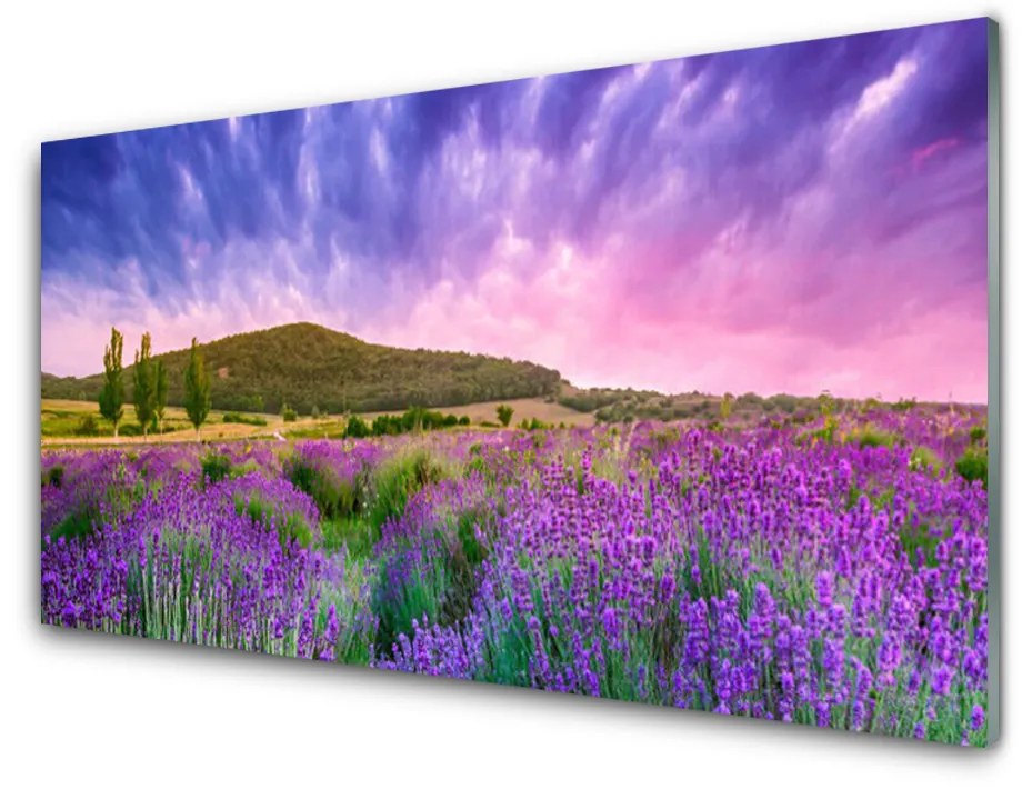 Tablouri acrilice Meadow Munții Flori Natura Verde Violet Albastru Roz
